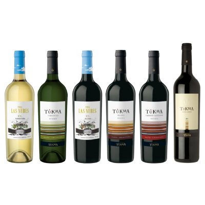 Argentinsk smagekasse med vin fra ekstrem højde!